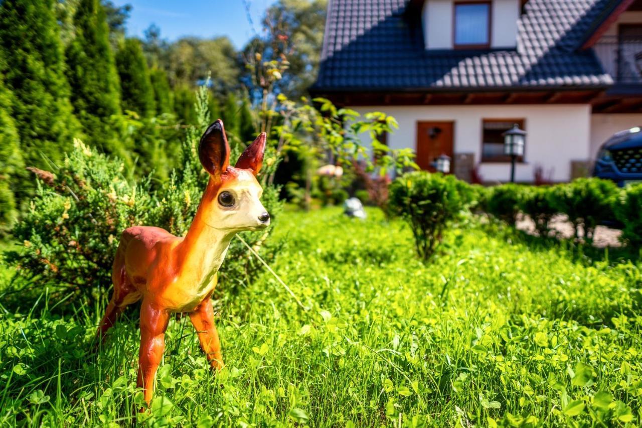 Domek u Eli Czarny Dunajec Dış mekan fotoğraf